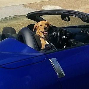 Meet your Posher, Scott